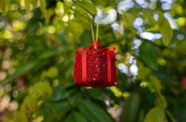 gift package red on tree scaled 1