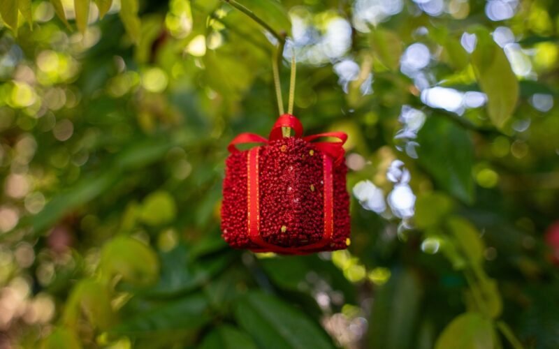 gift package red on tree scaled 1