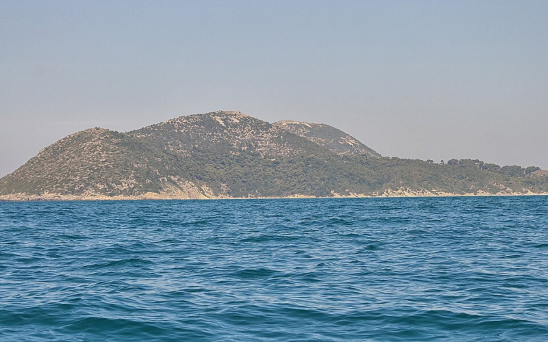 "Trump's Island"