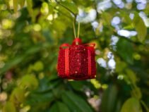 Gift Package Red On Tree Scaled